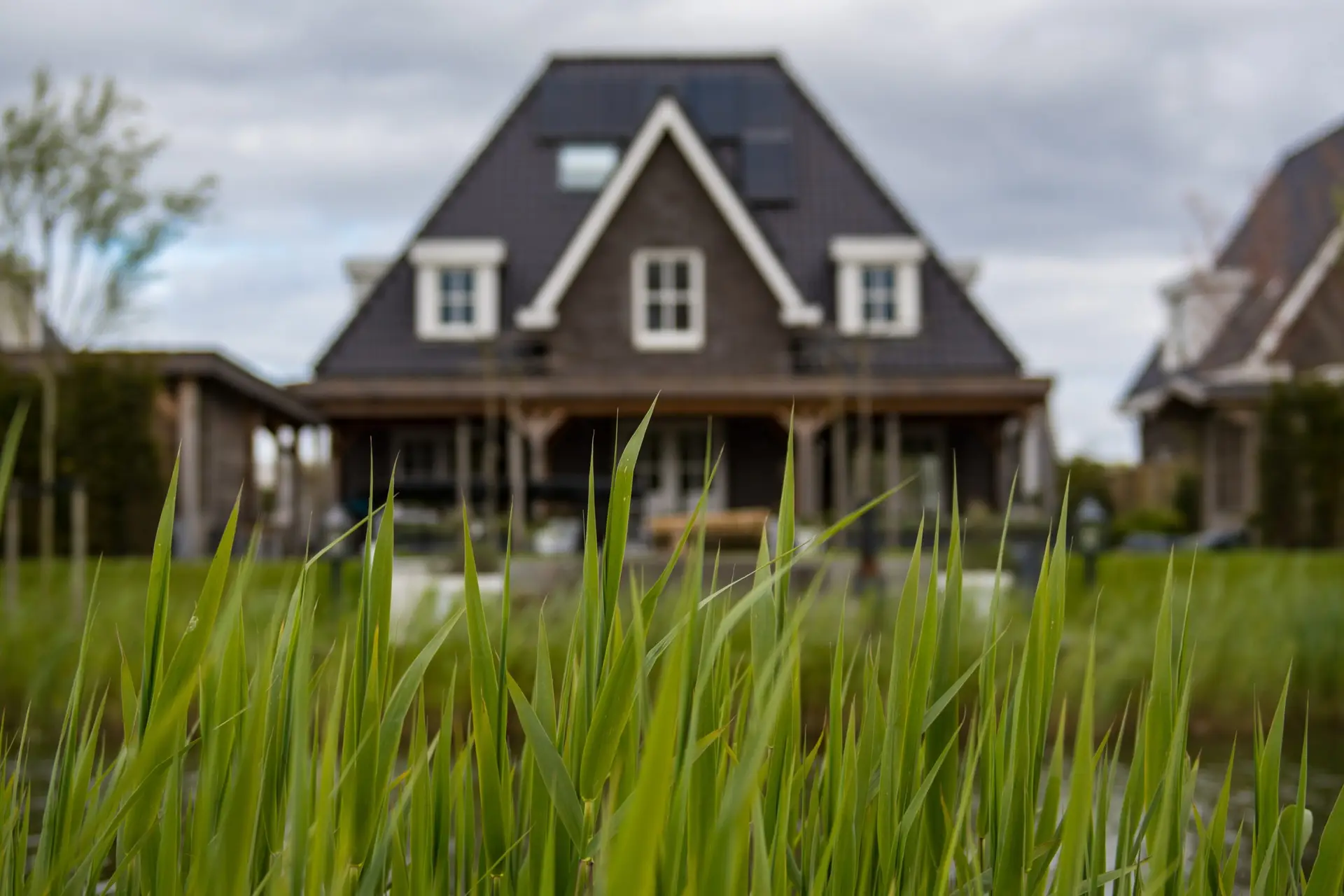 closeup of grassy yard in front of a home displaying the concept of conflicting boundaries