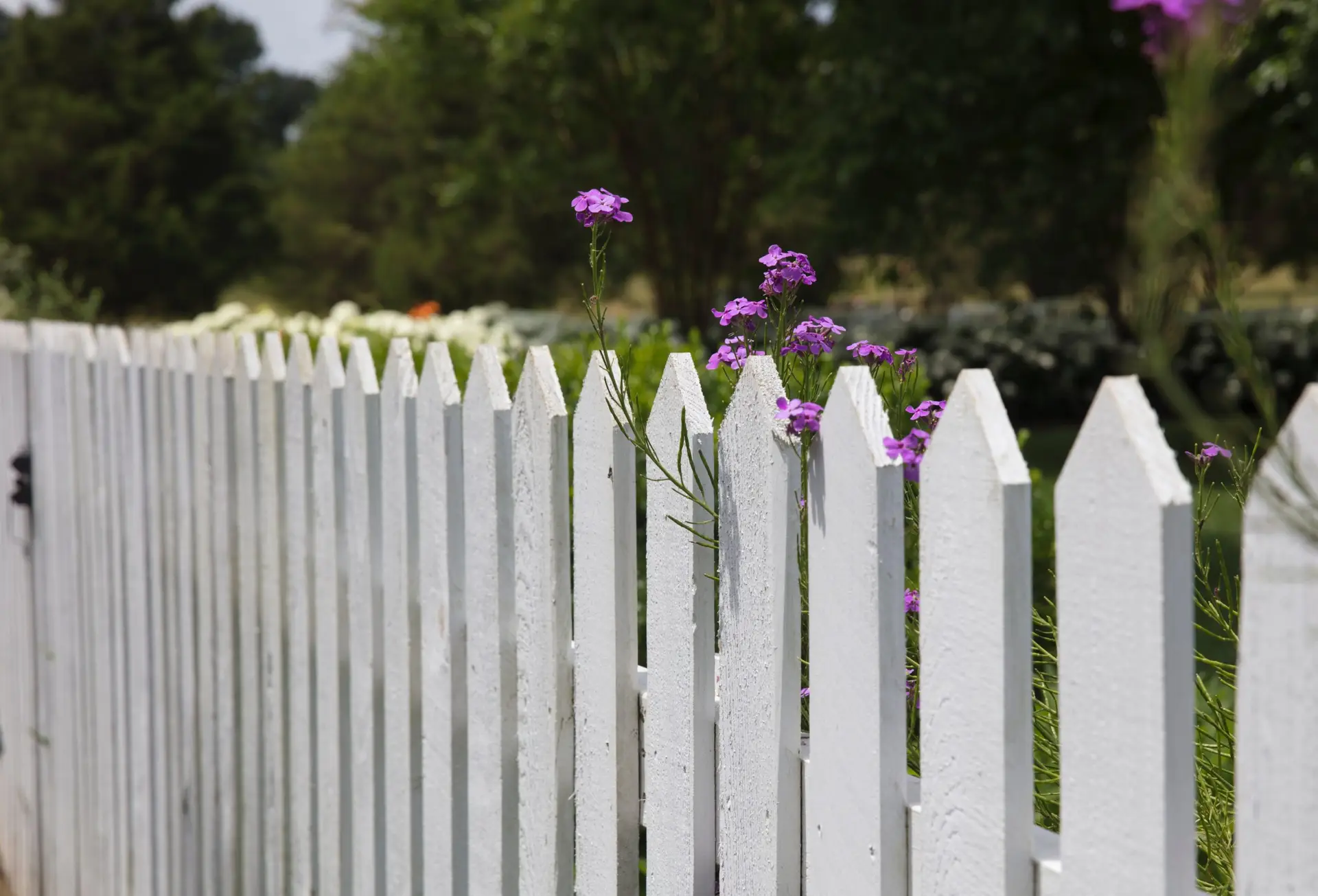 result of white picket fence installation