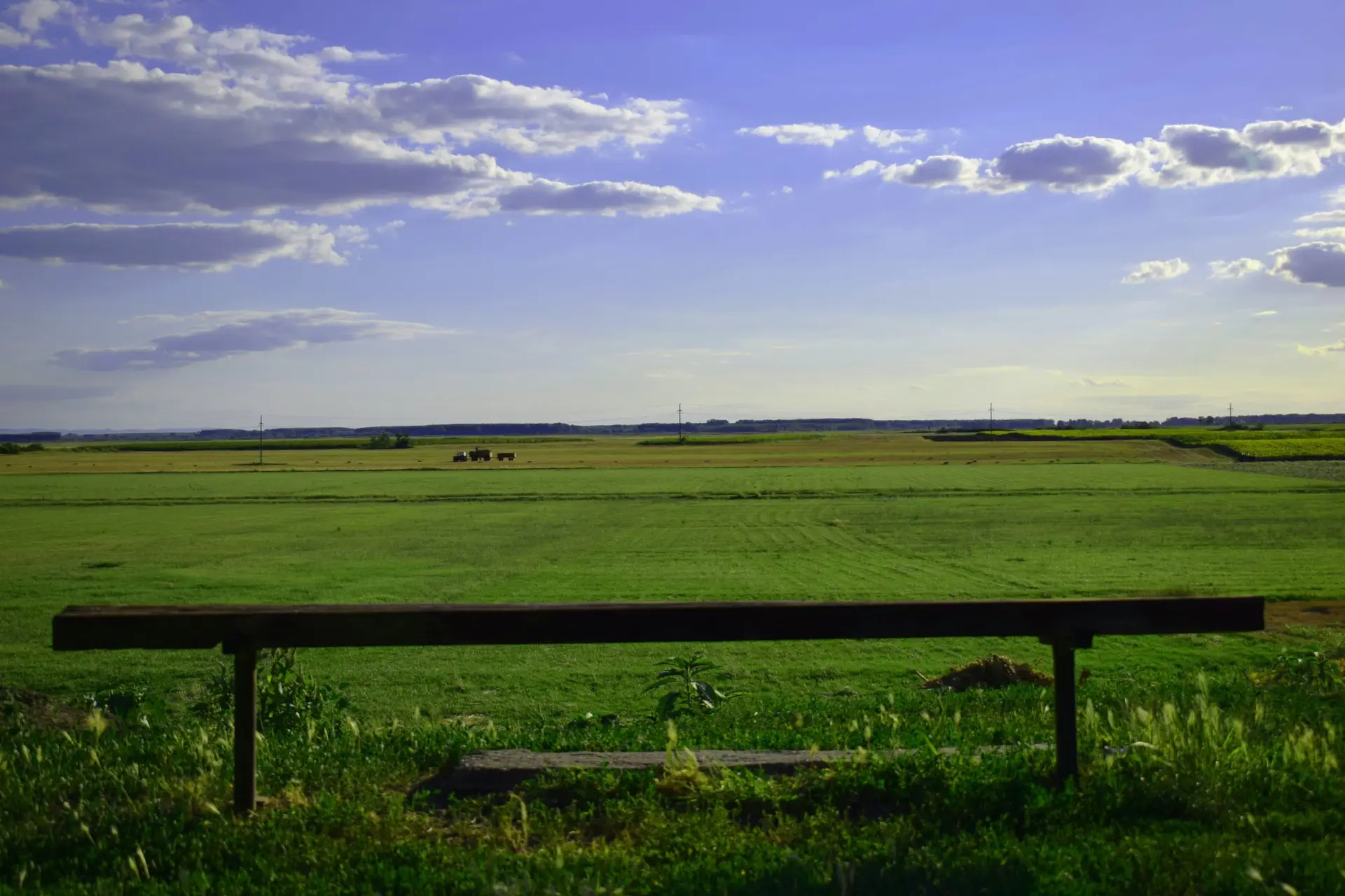 grassy vacant land with blue sky